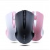 New Thunder Wolf Q2 Laptop Wireless Mouse Blue tooth Mouse Computer Accessories Suitable For All Notebook Computers Anti-scratch