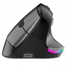 Best-Selling Type-c Rechargeable Vertical Wireless Ergonomic Mouse