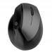 Best-Selling Type-c Rechargeable Vertical Wireless Ergonomic Mouse